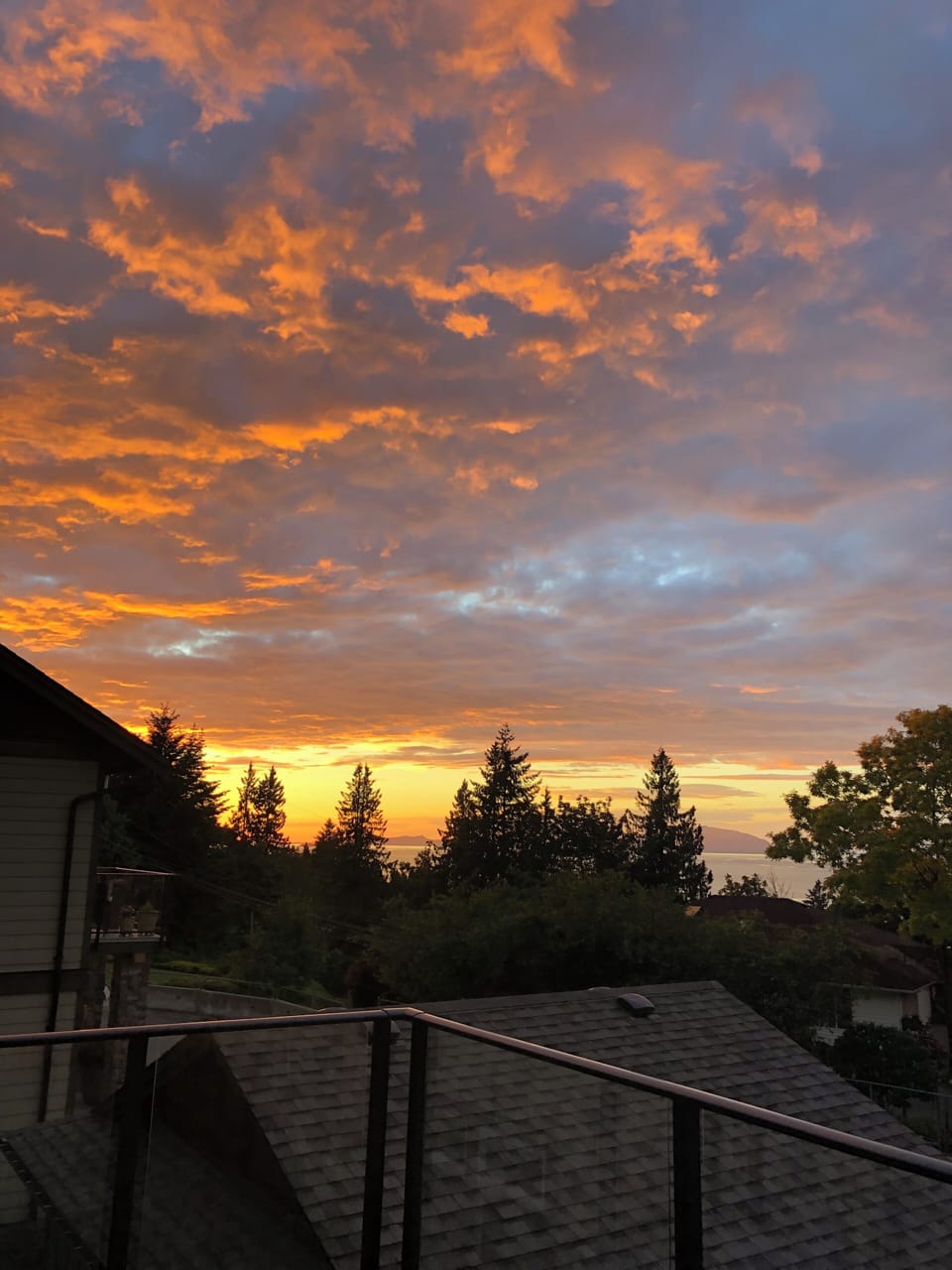 View from property