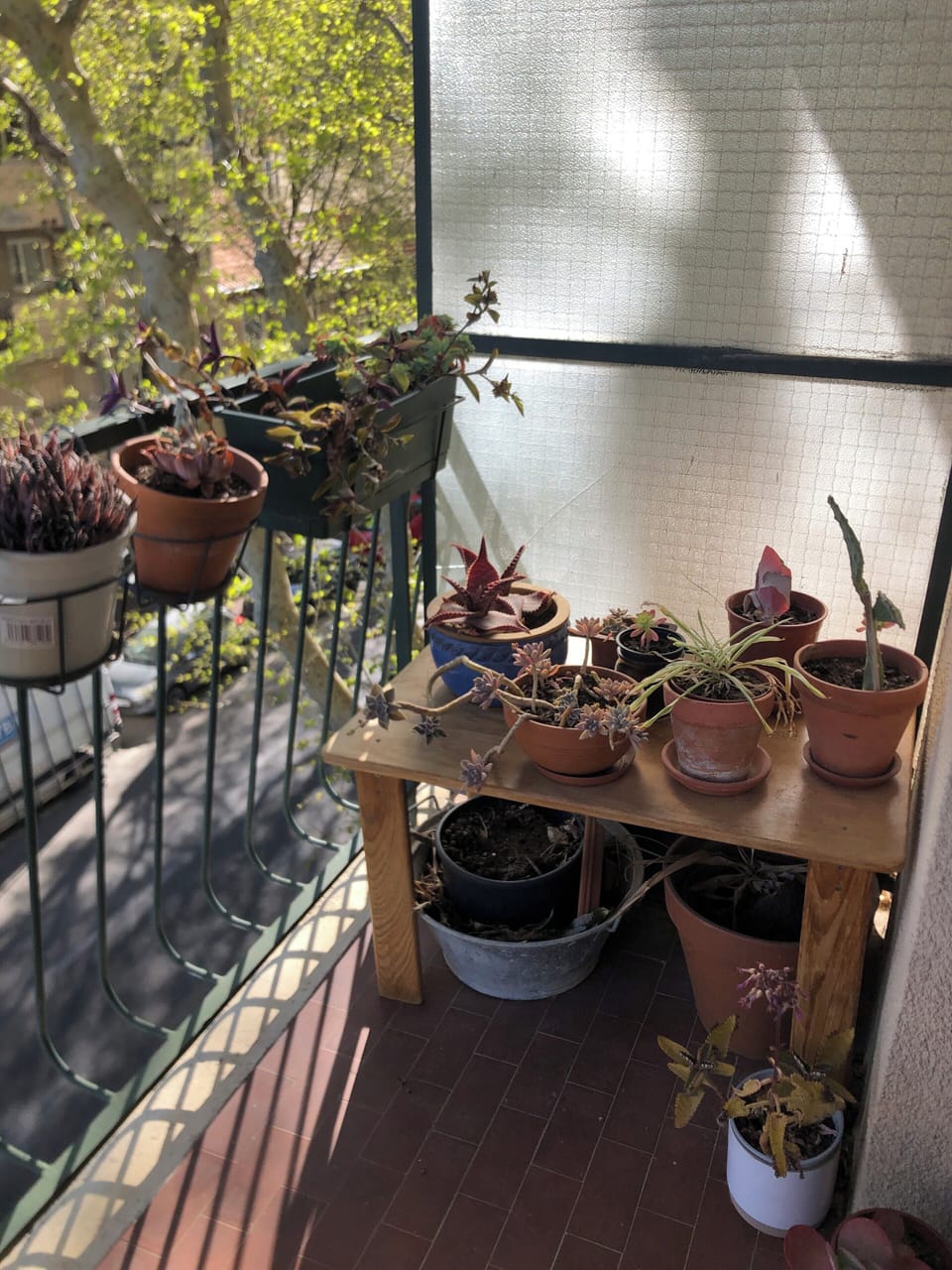 Miscellaneous