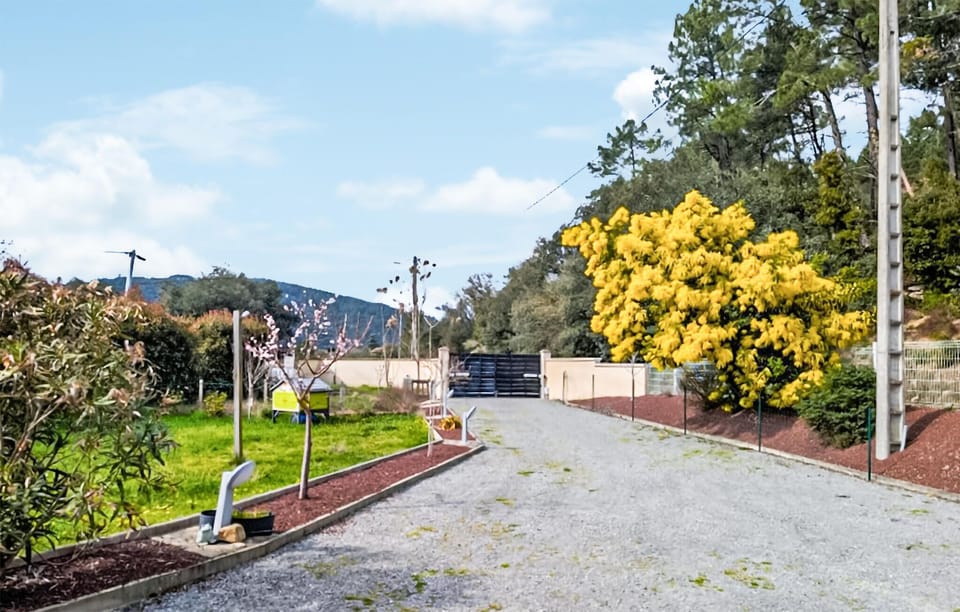 outside