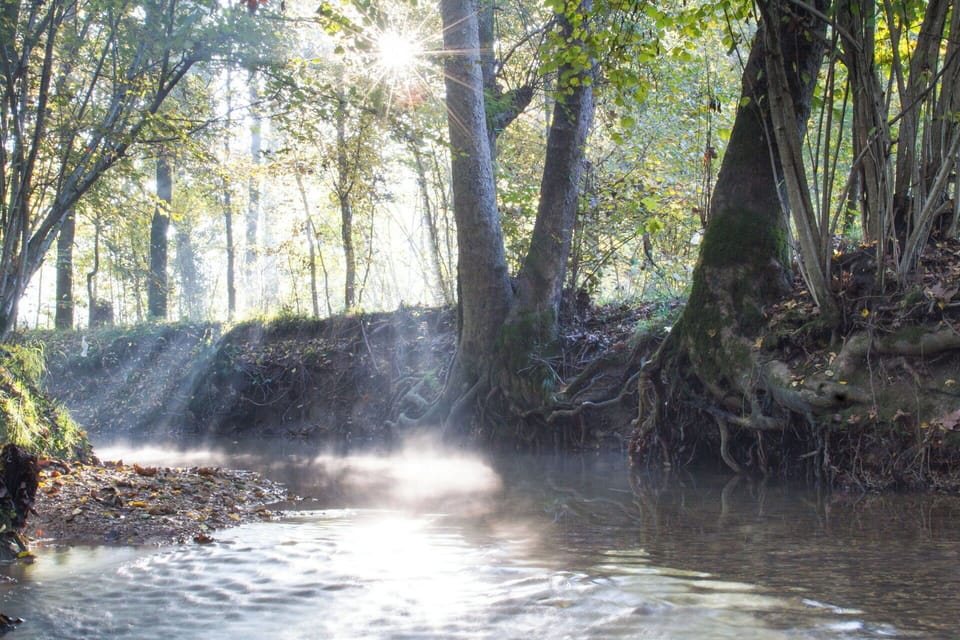 Activities, Autumn, Outdoor, Spring, Summer, Winter