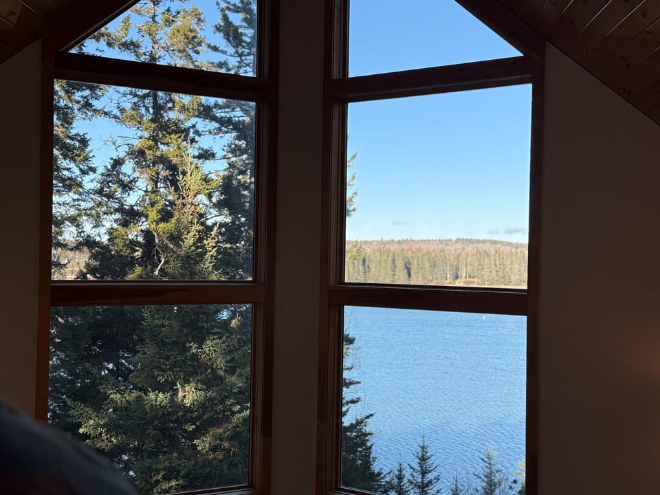 View from Window