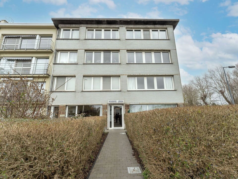 Building, Window, Residential Area, Shrub, Facade, Neighbourhood, Apartment, Architecture, Home