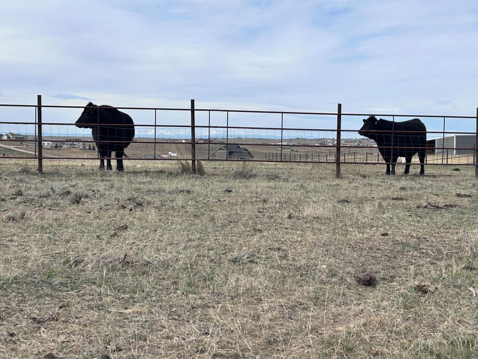 Miscellaneous
