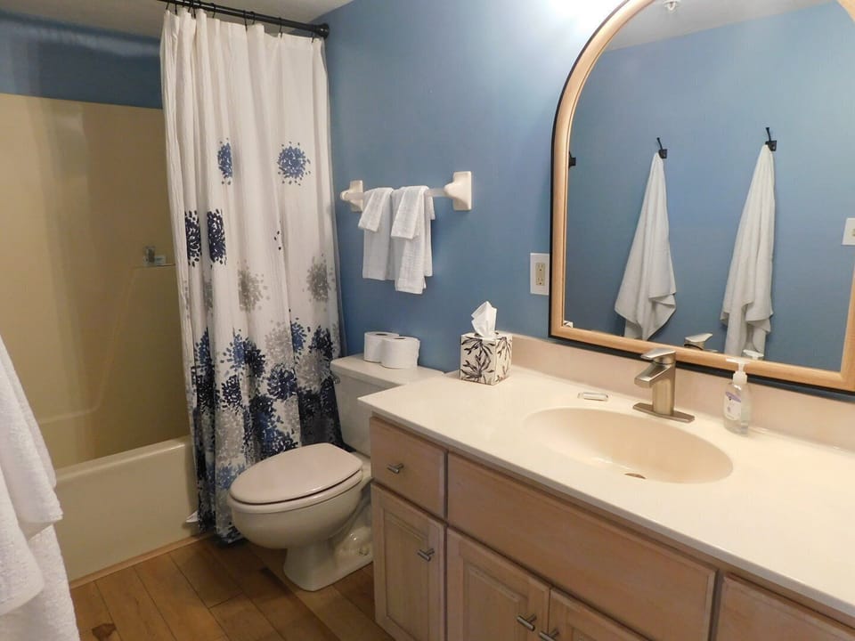 Guest bath with tub/shower combo