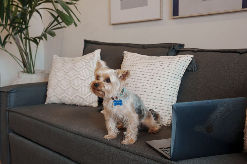 Curl up on the sofa for a cozy movie night in.