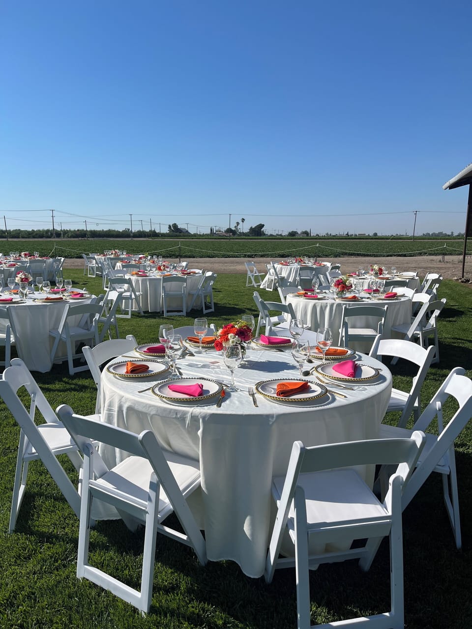 Outdoor Lawn