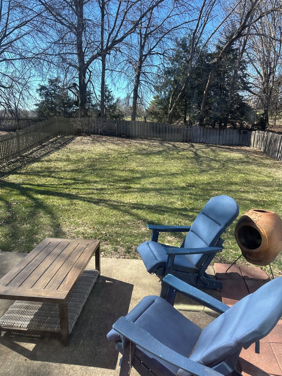 Back Yard, Park in the Background
