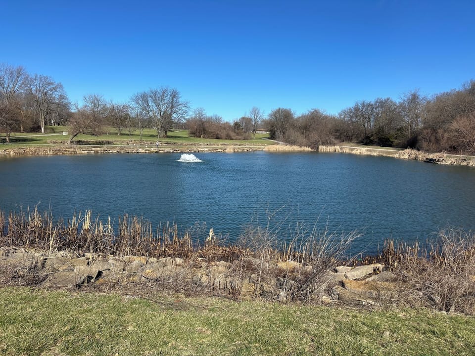 Pond at the Park