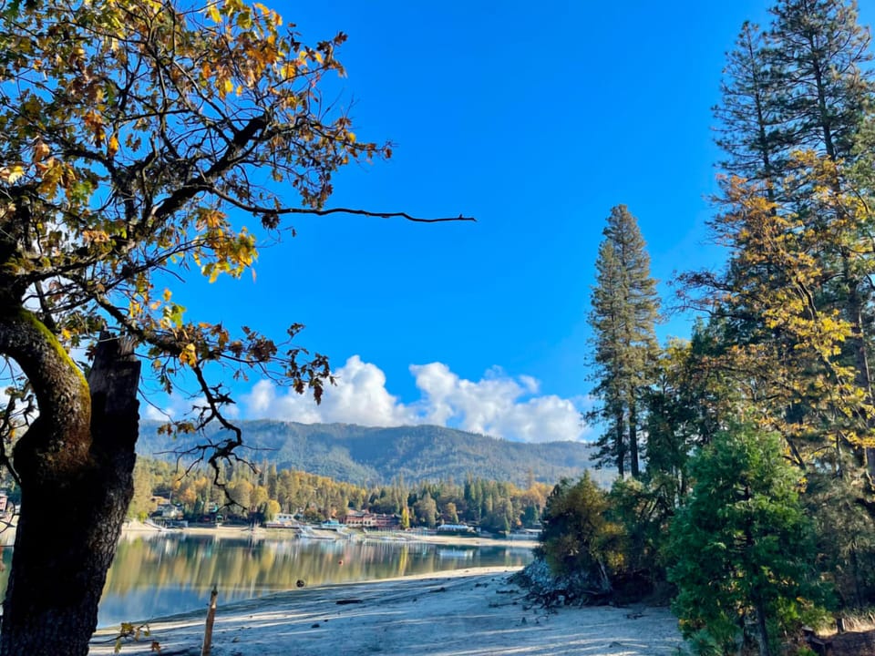 Bass Lake