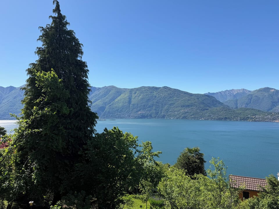 Main view