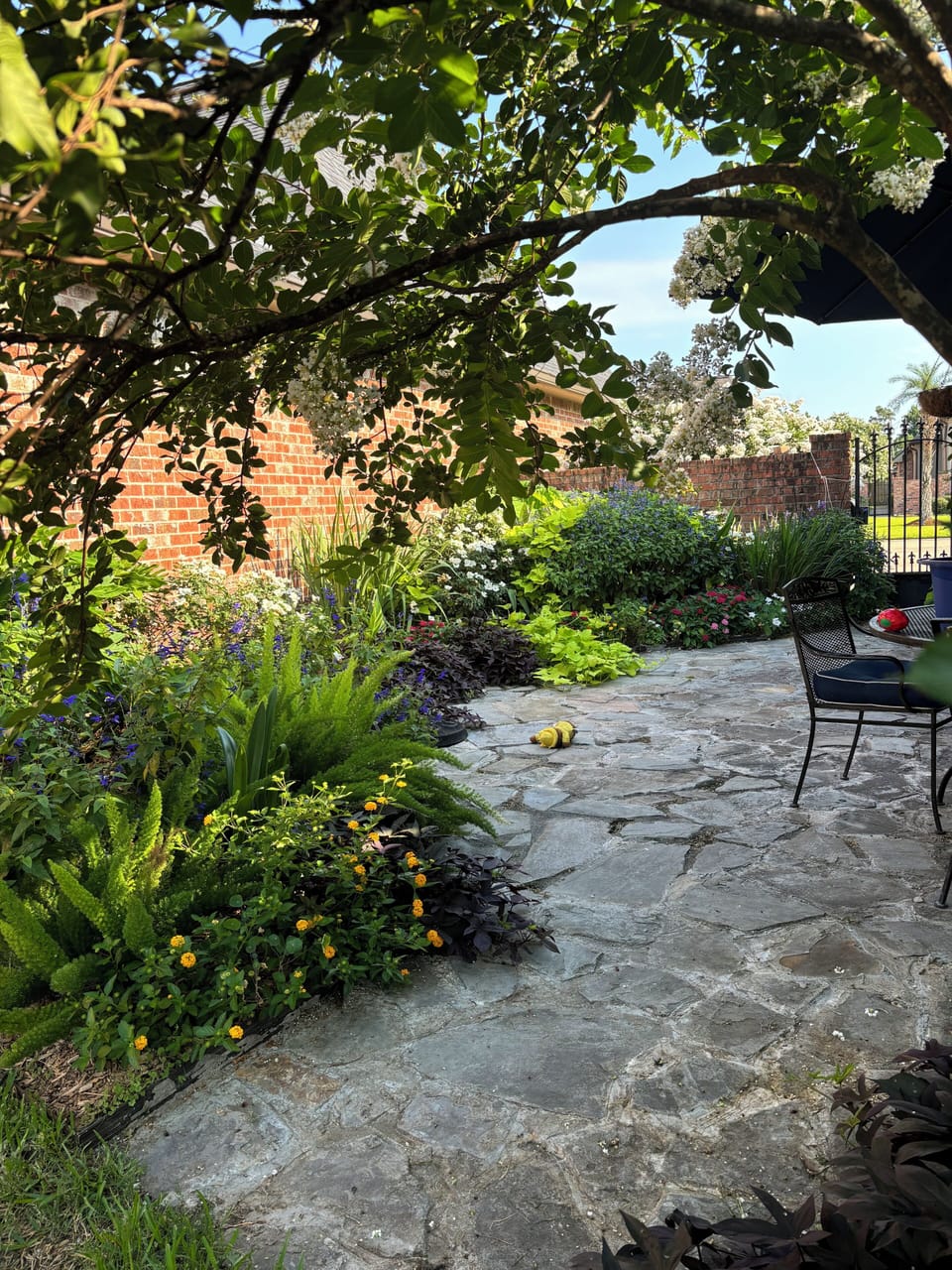 Side Yard Patio