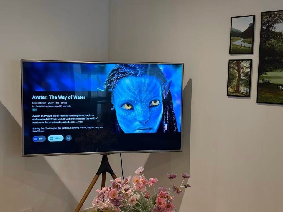 Television
