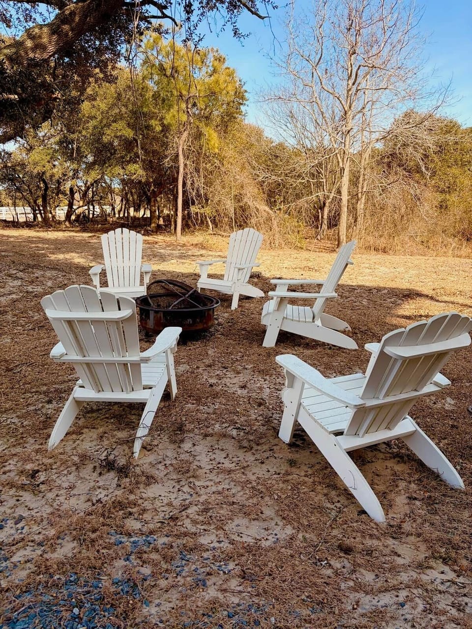 Fire pit in backyard