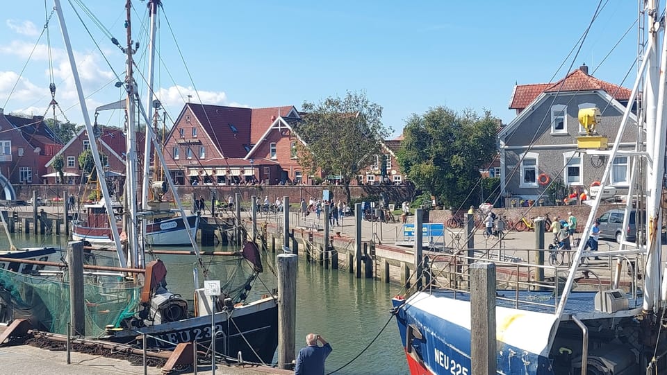 Marina
