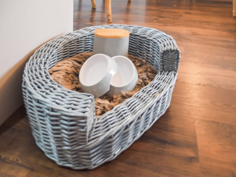 Dog friendly | Holgate House, Blackpool