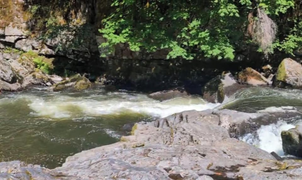 The "Fish Drop" - This gorgeous spot on the river is a 5 minute walk up the road from the Airbnb. Great swimming holes, a sandy beach and places to jump. Great fishing!!