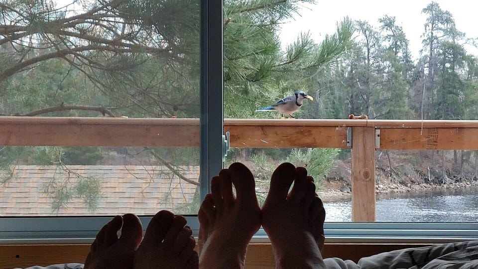 View from property