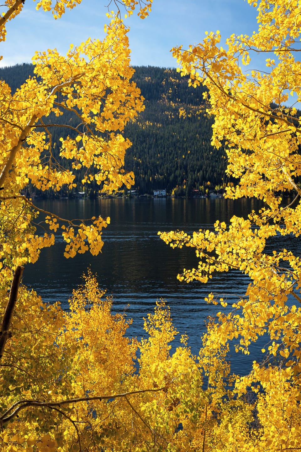 Lakefront Fall Colors — Watch the aspens shimmer right over the water from your balcony. Here, the lake isn’t just a view — it’s your backdrop, your morning light, and your reminder to slow down and savor Grand Lake.