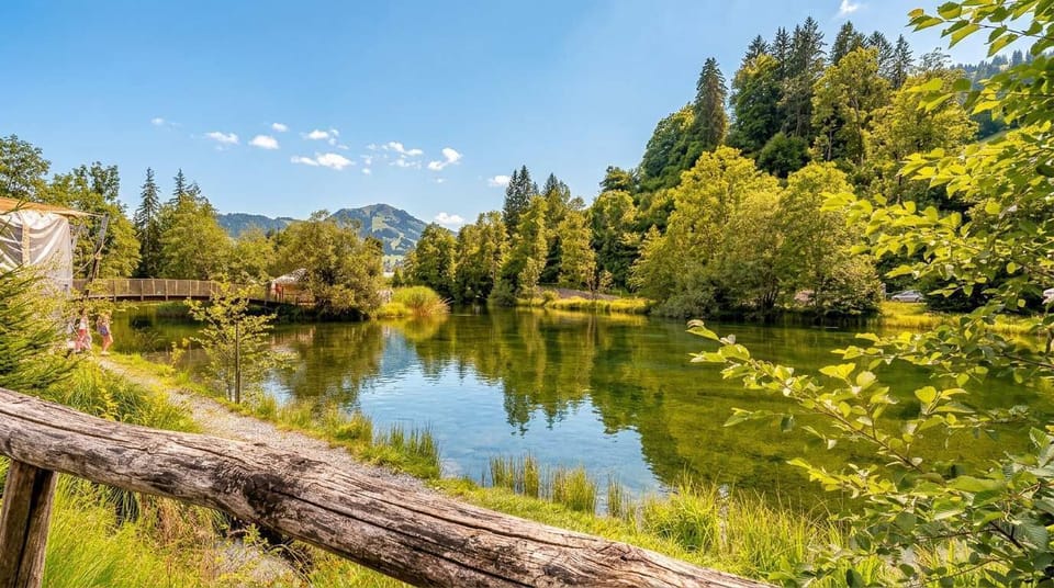 Calm lake with lush greenery and mountain views
