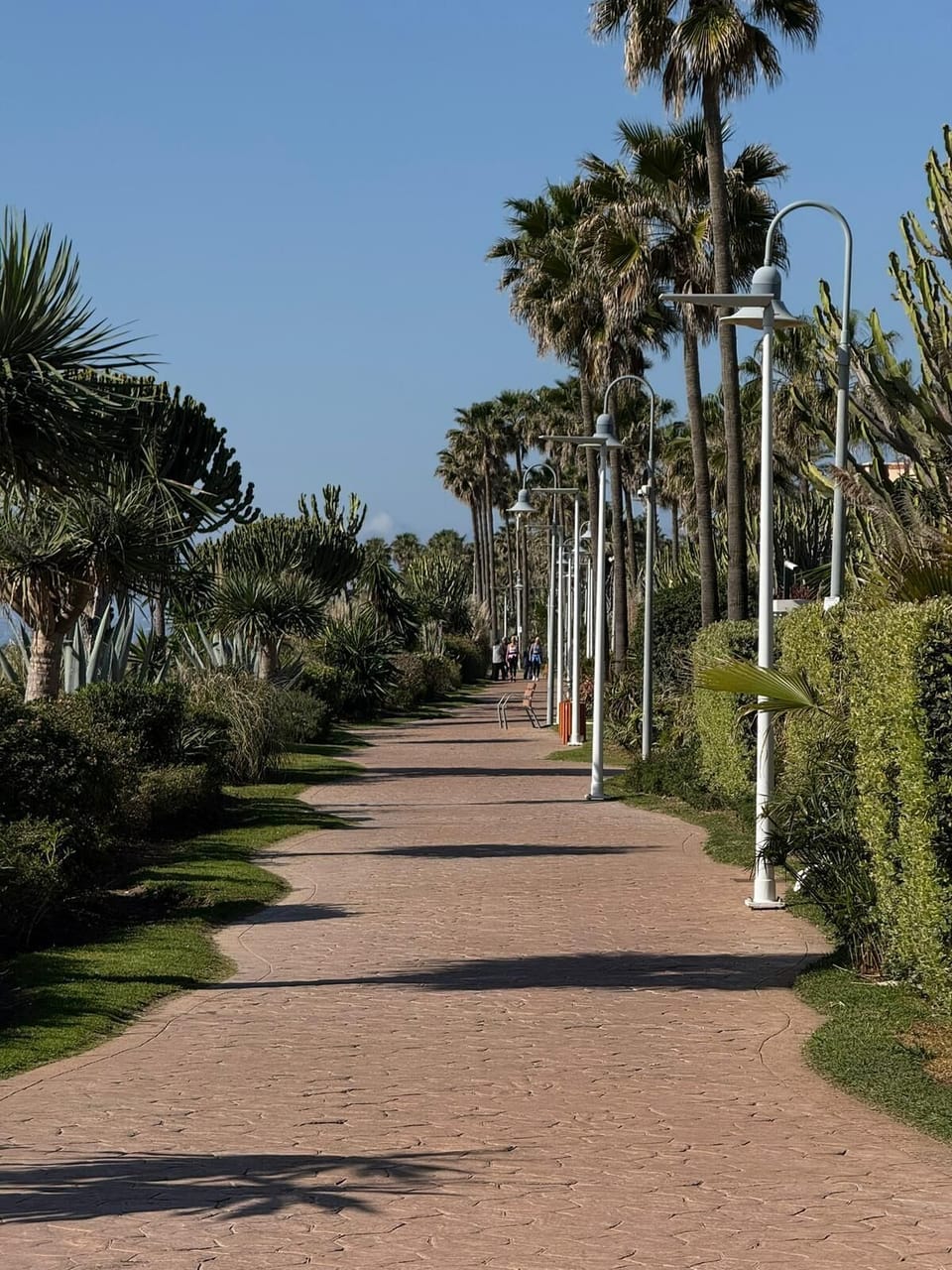 Miscellaneous