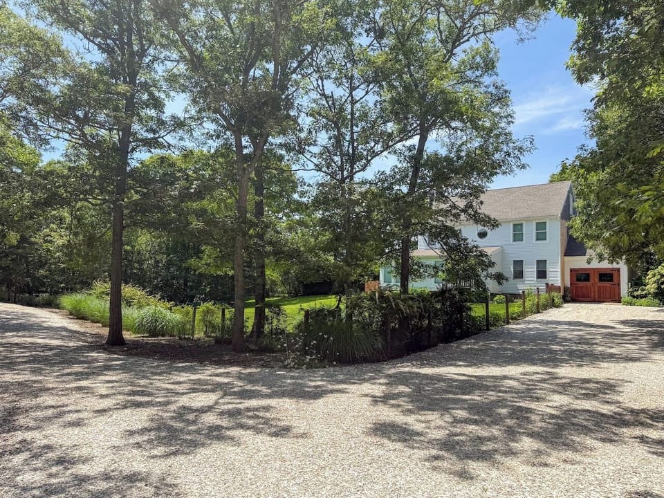 Driveway and front yard