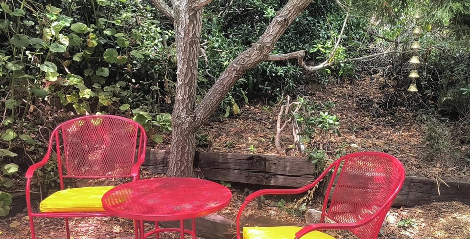 this is the back patio of the house. A lot of foliage  it backs up to the canyon