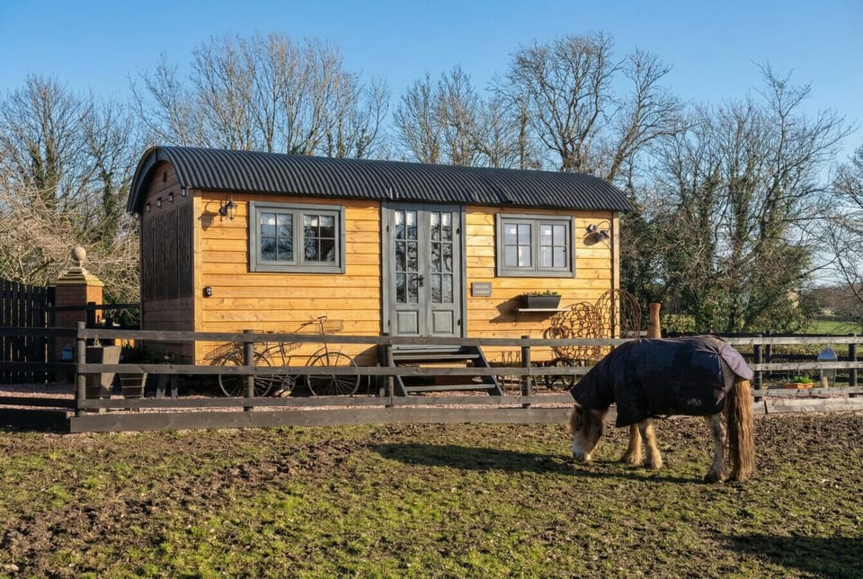 Your shepherd`s hut sits in golden sun with a resident pony grazing just outside.