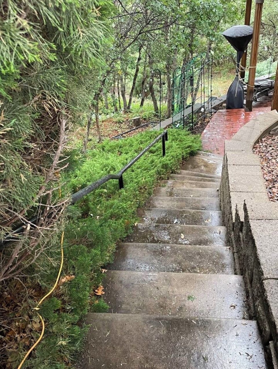 Steps to the unit and back yard area