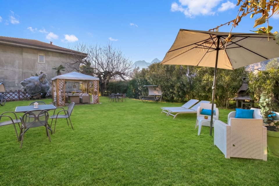 Shared Garden