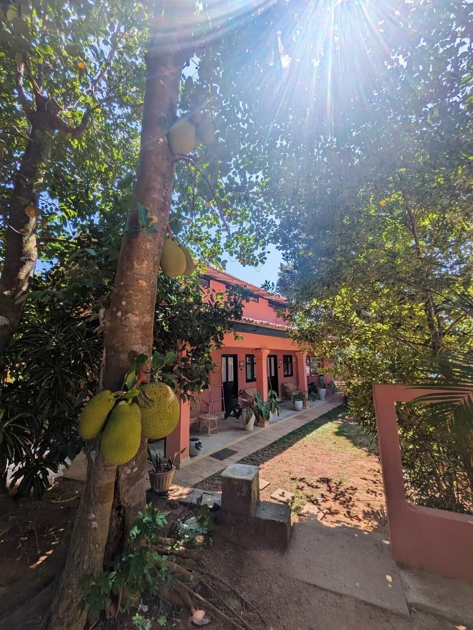Terrace & Garden