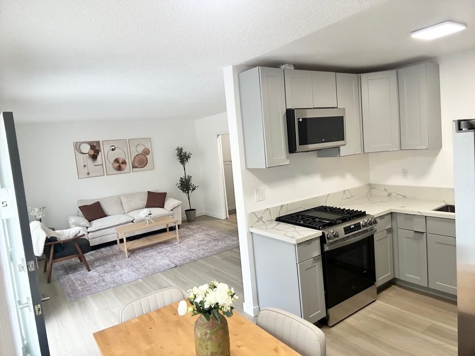 living room and kitchen room