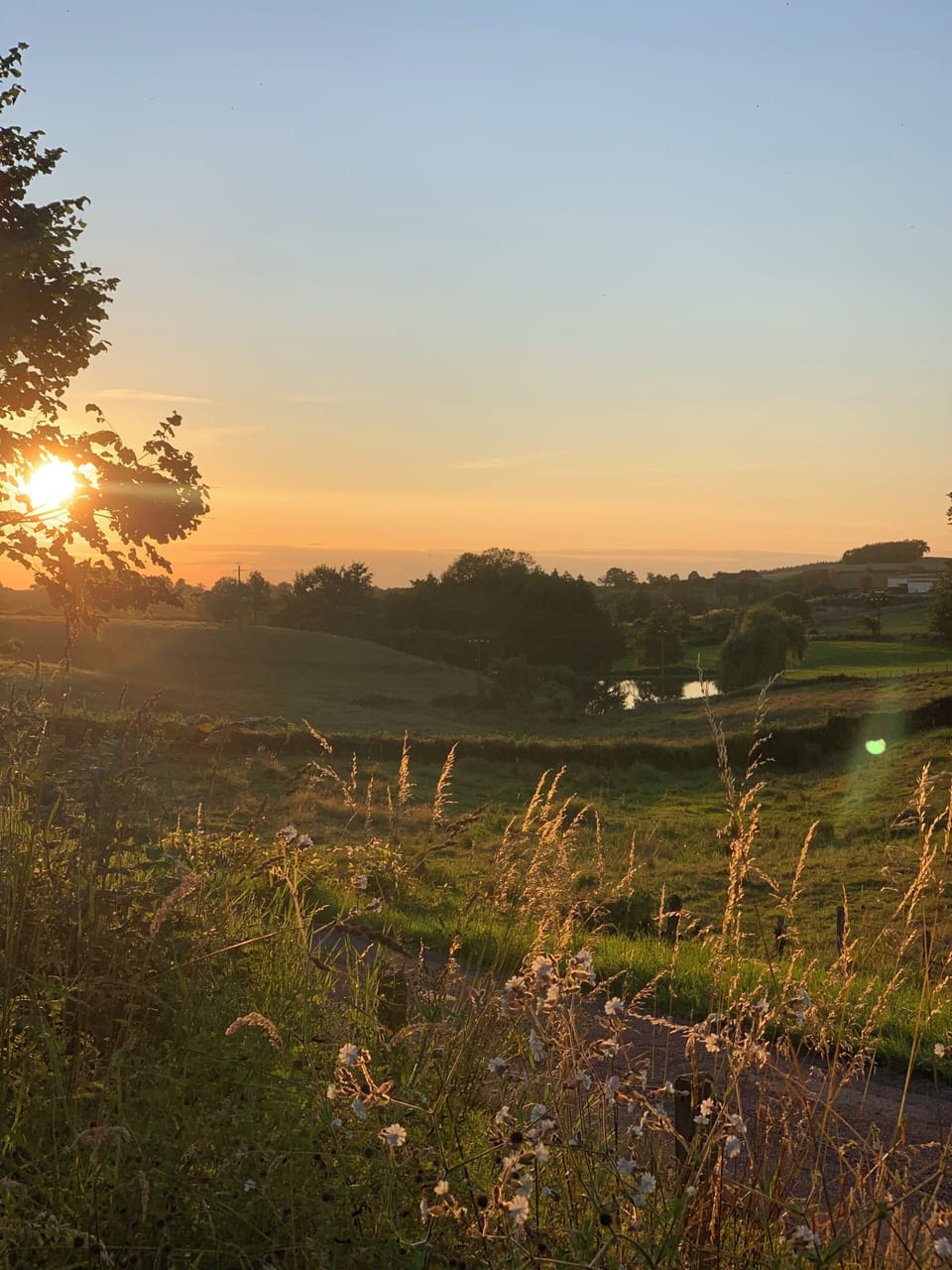 Sunset view from the garden