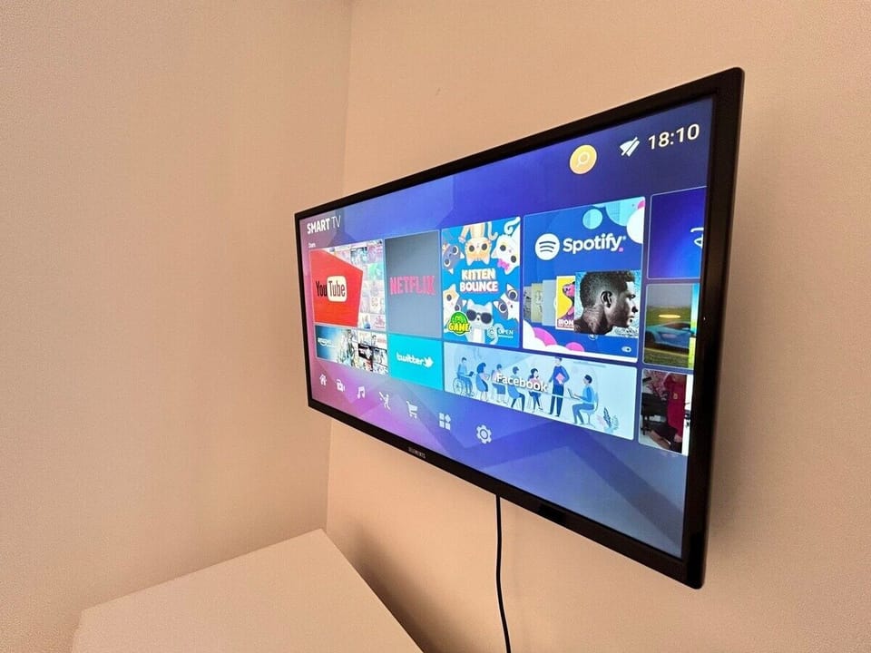 Television