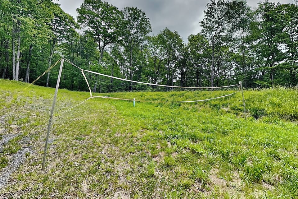 Backyard Volleyball Court