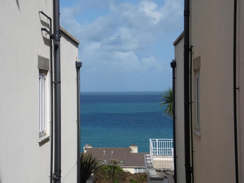 See view.