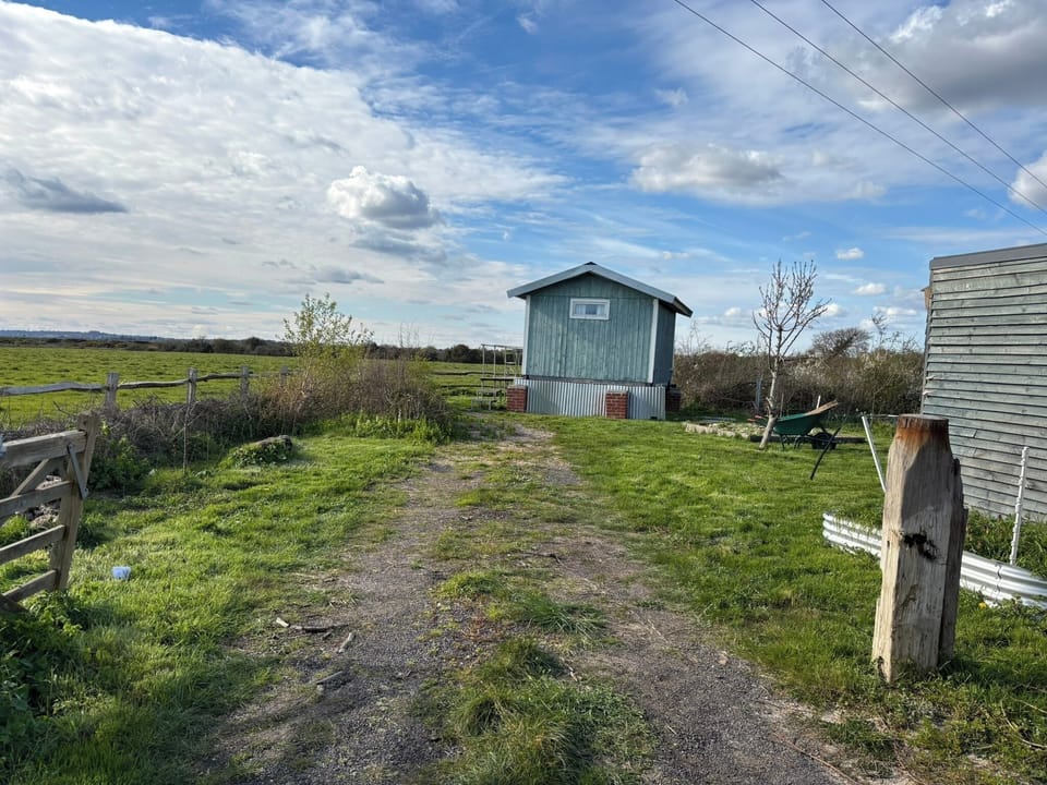 Image 23