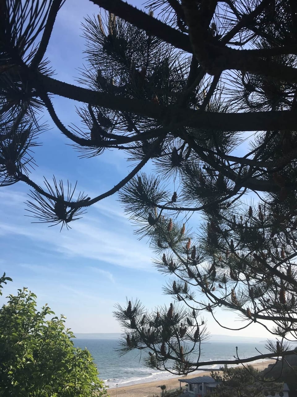 Award winning Durley Chine Beach