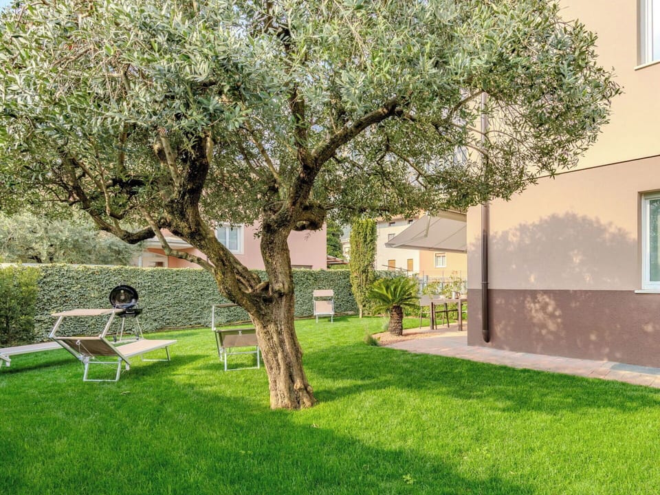 Garden, Lawn, Woody Plant, Backyard, Shade, Landscaping, Yard, Park