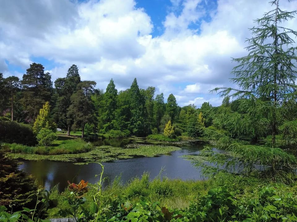 Bedgebury Pinetum