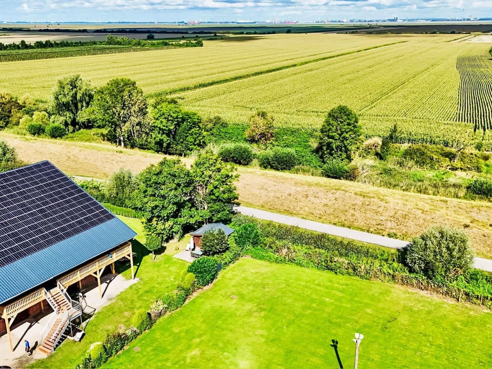 Grass, Plain, Grassland, Landscape, Land Lot, Rural Area, Groundcover, Field