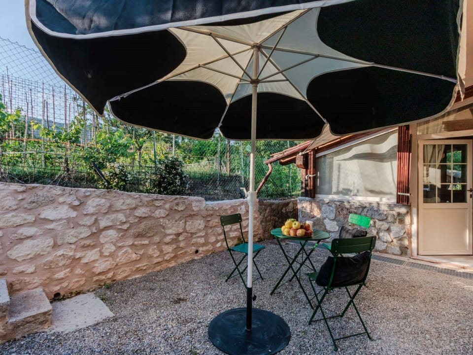Umbrella, Shade, Outdoor Furniture, Chair, Outdoor Table, Backyard, Patio, Houseplant, Courtyard
