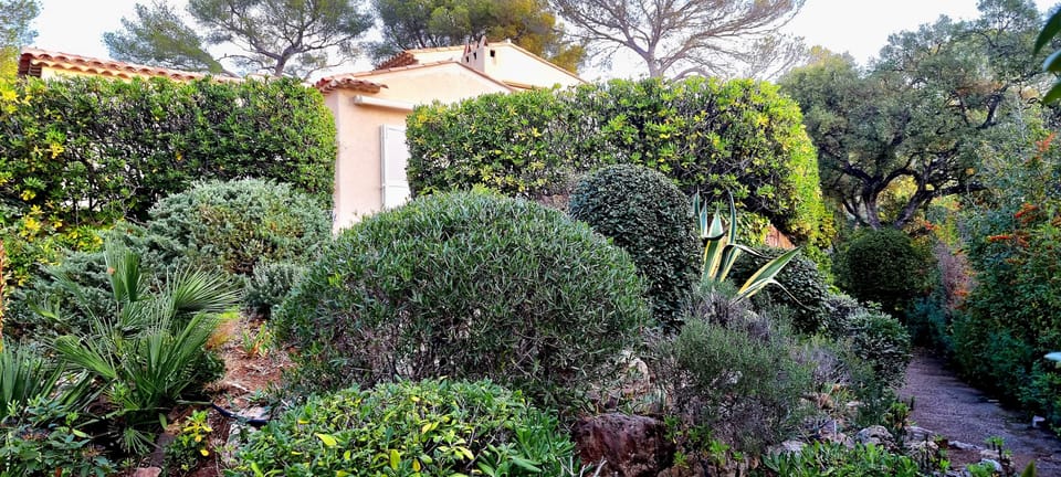 Jardin