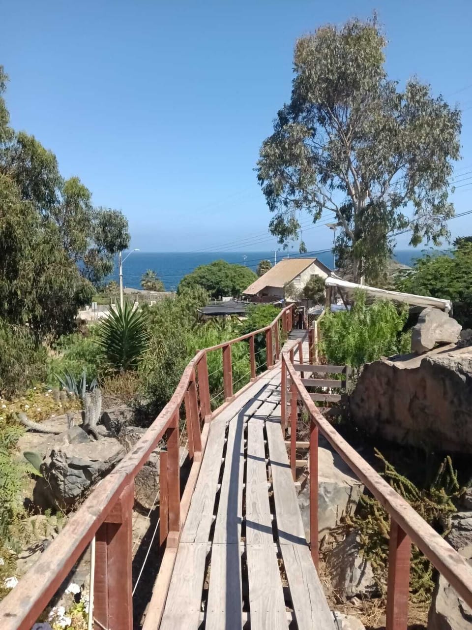 View from property
