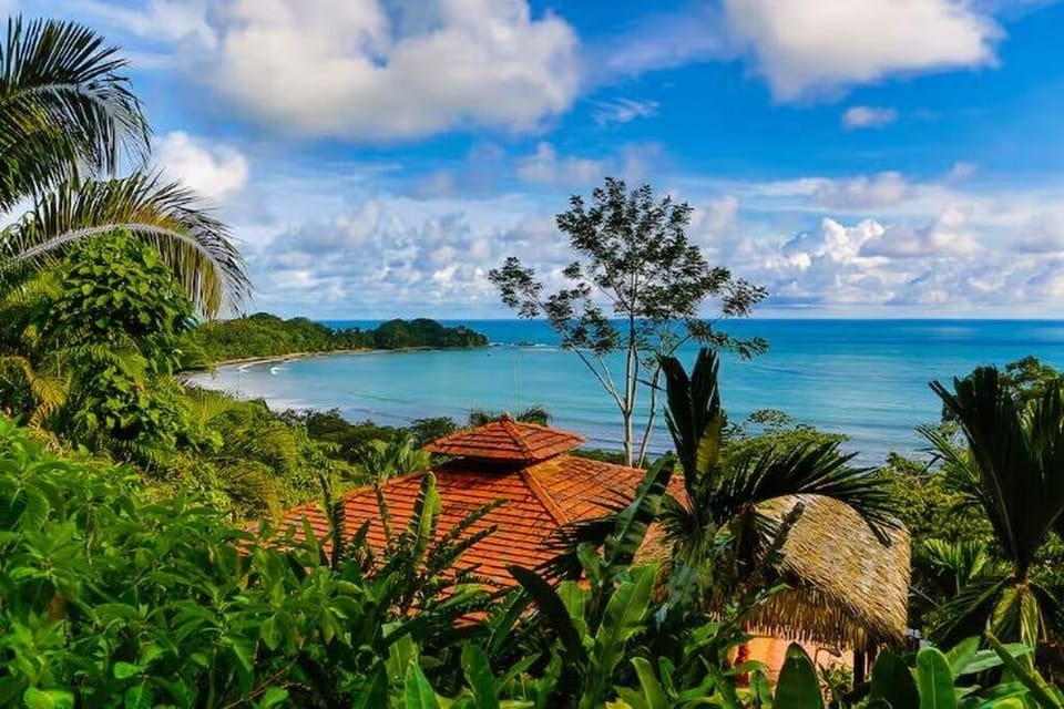 Sol to Soul - jungle paradise.