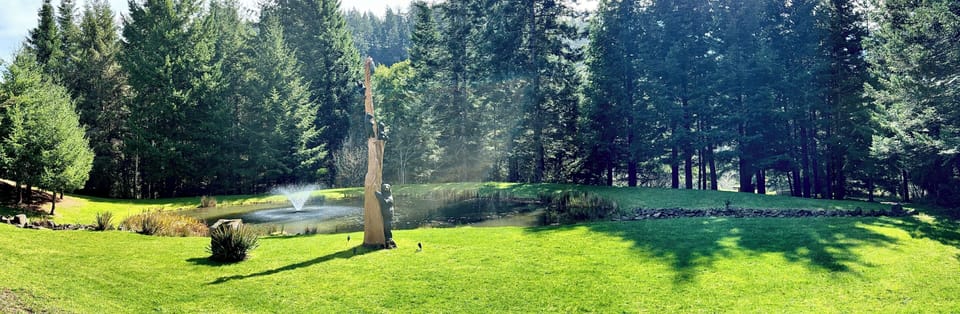Beautiful Pond and park recreation area with carved tree