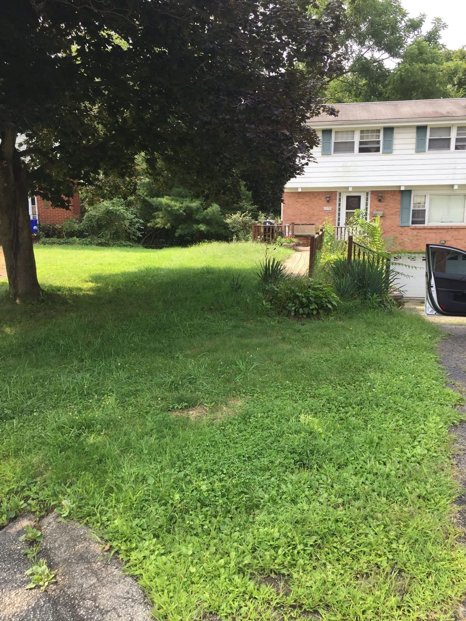 Property grounds