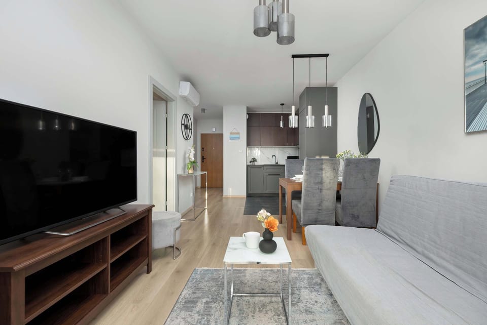 The living room features a comfortable grey sofa facing a dark wood media console with a large flat-screen television. Modern track lighting and minimalist decor contribute to the apartment's sophisticated atmosphere.