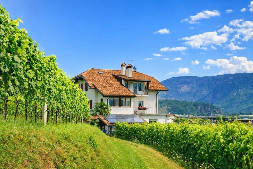 Mountains and vineyards all around
