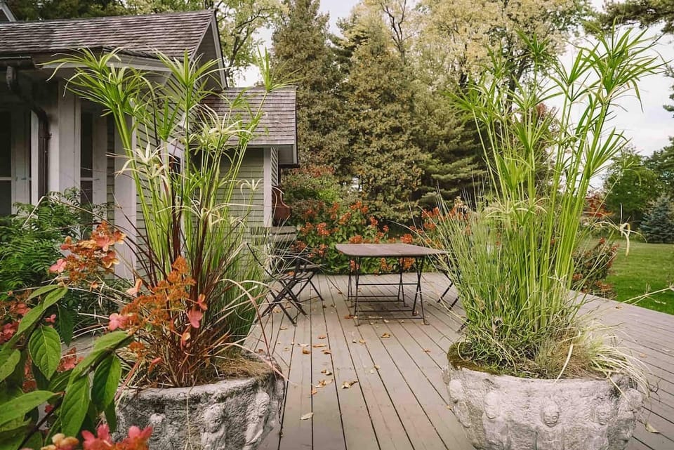 Adjacent deck available to use for outdoor dining. 