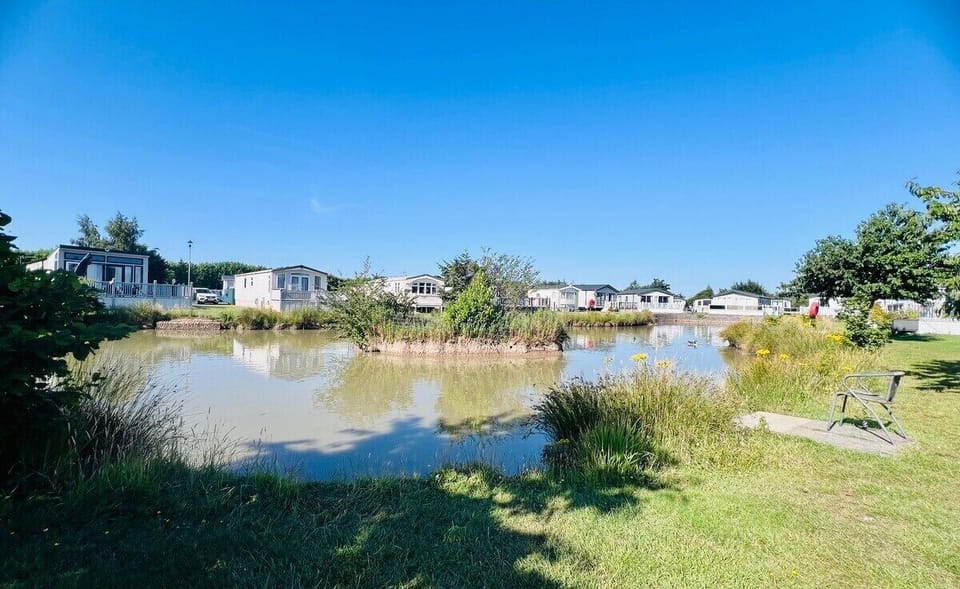 Sunny Day by the Fishing Lake